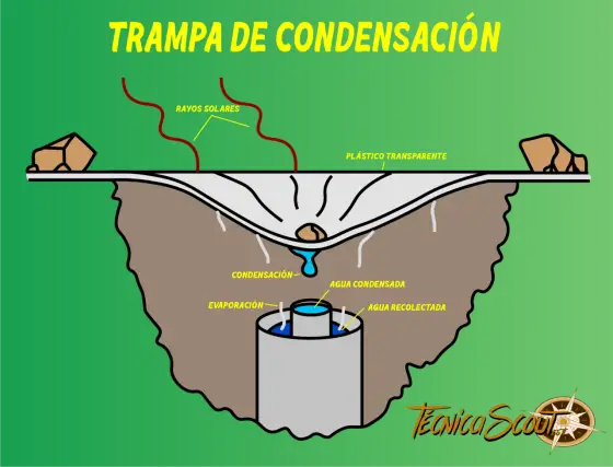 Cómo potabilizar agua - Métodos clave en supervivencia
